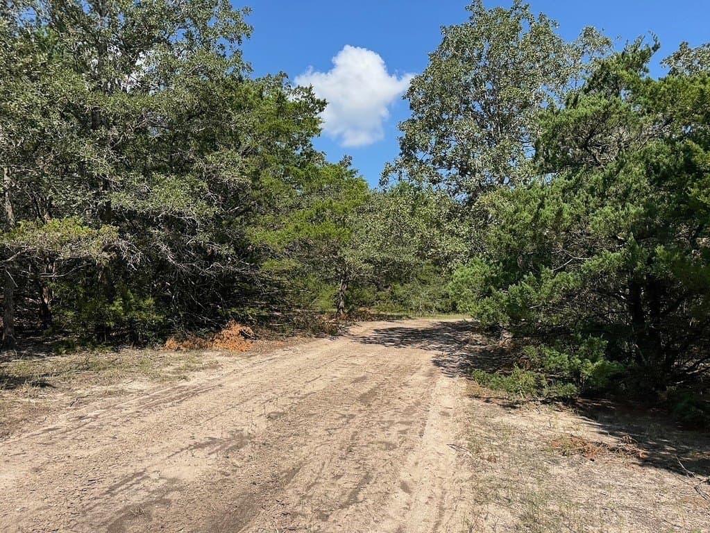 35.59 acres in Washington County gallery image 4