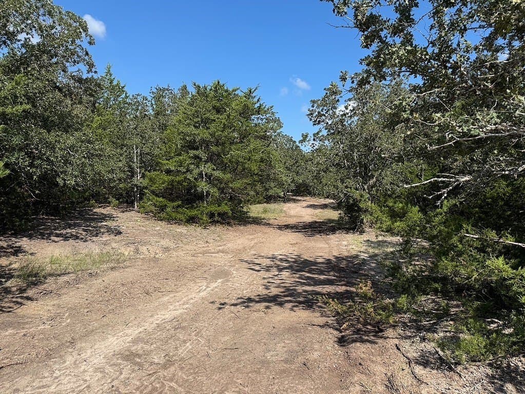 35.59 acres in Washington County - photo 9