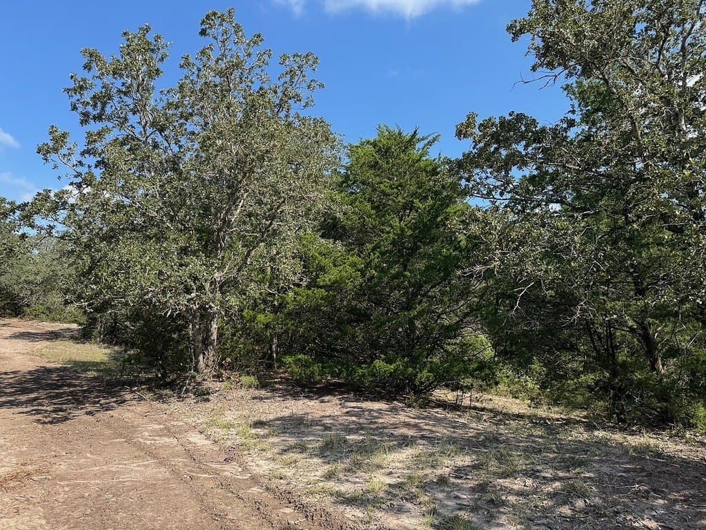 35.59 acres in Washington County - photo 6