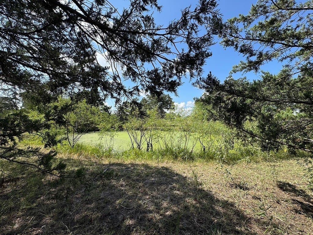 35.59 acres in Washington County - photo 8