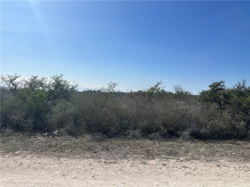 1.52 acres in Jim Wells County gallery image 2