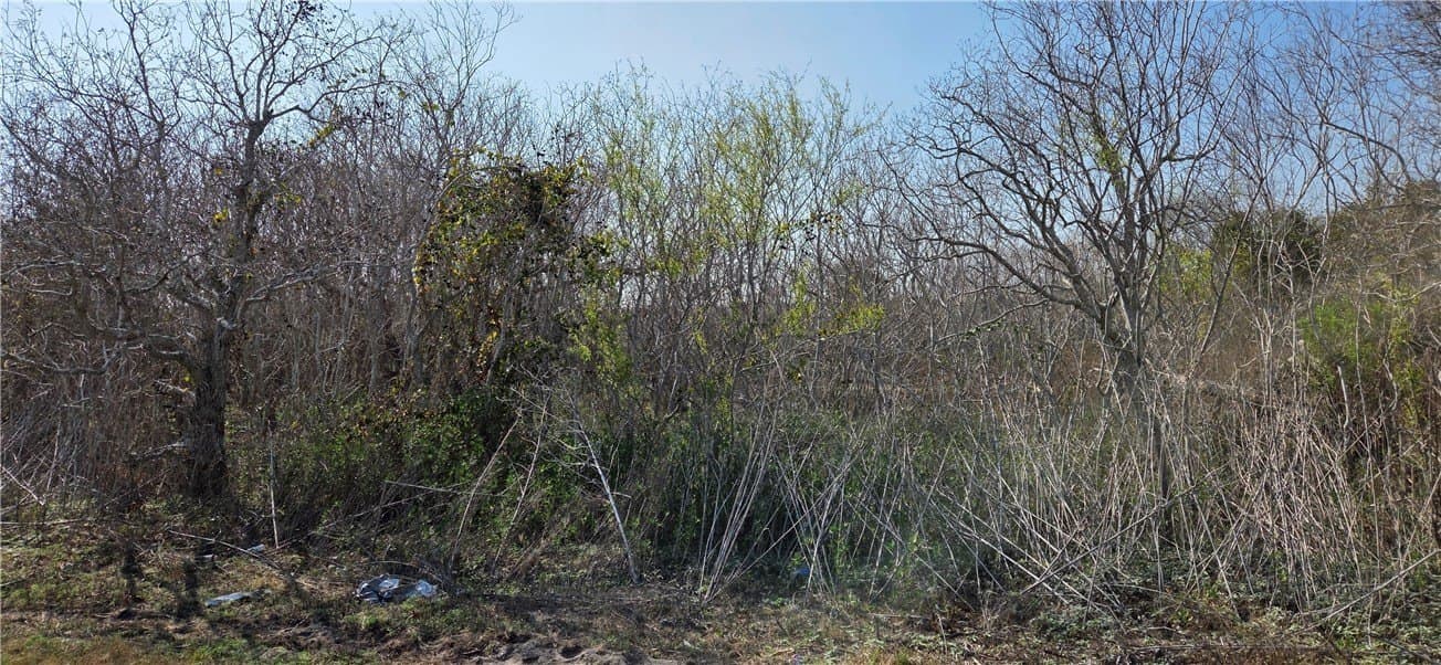 2.66 acres in Aransas County gallery image 4