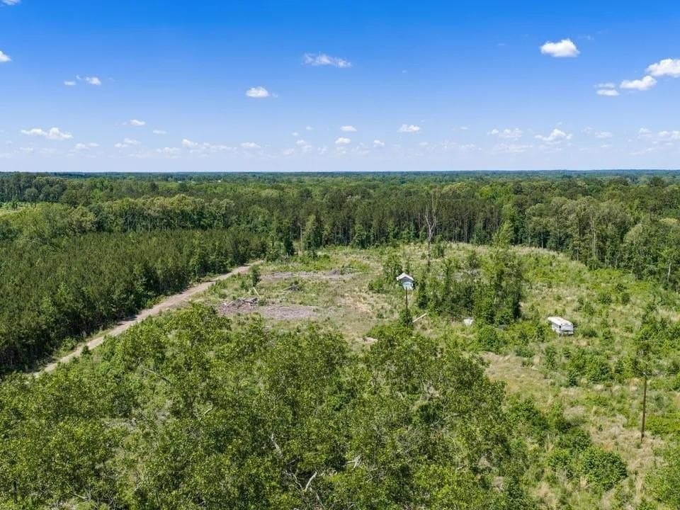 10.37 acres in Upshur County gallery image 2