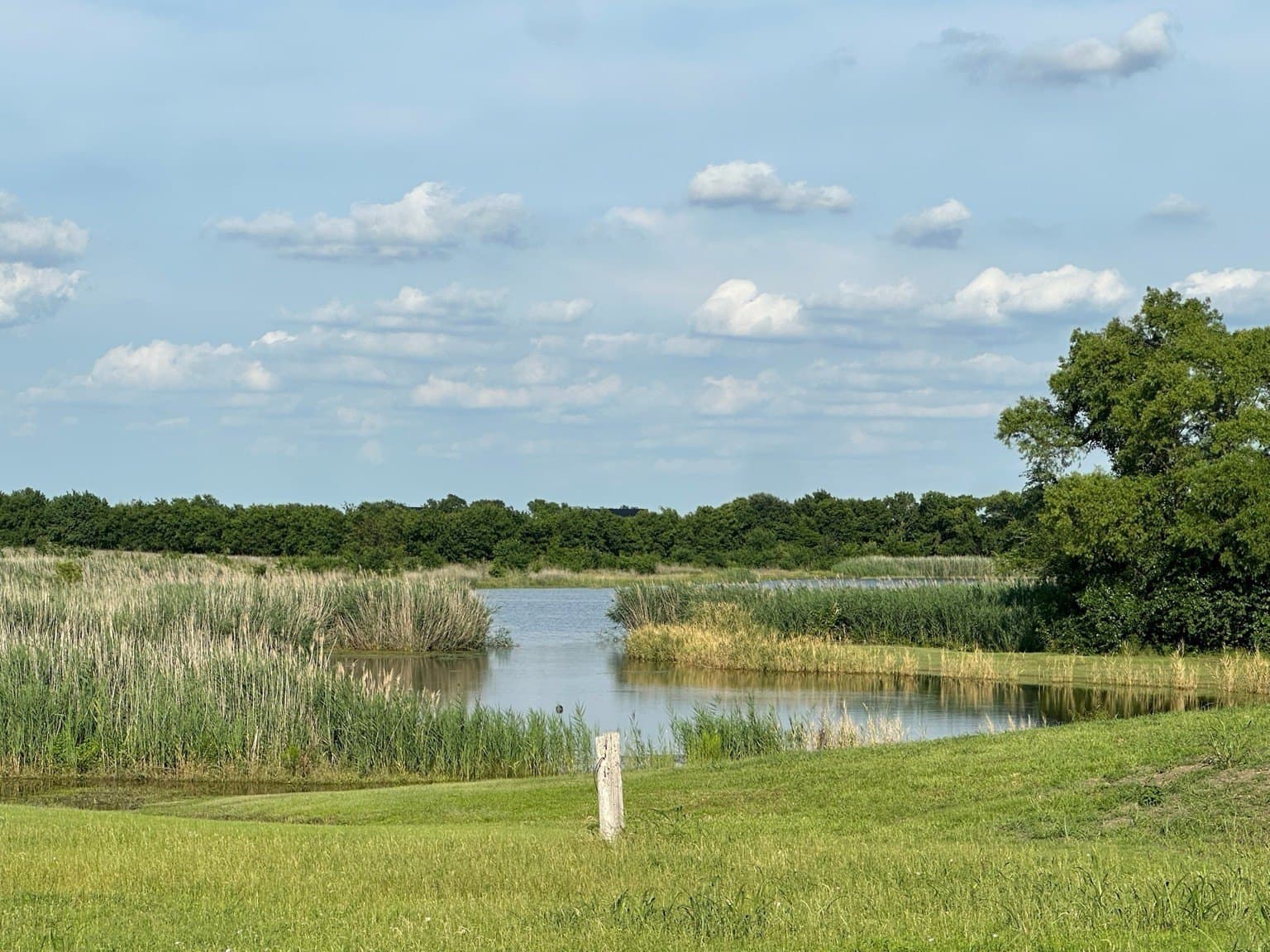 2.5 acres in Rockwall County featured view