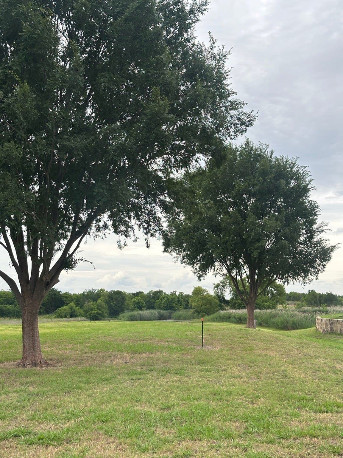 2.5 acres in Rockwall County gallery image 2