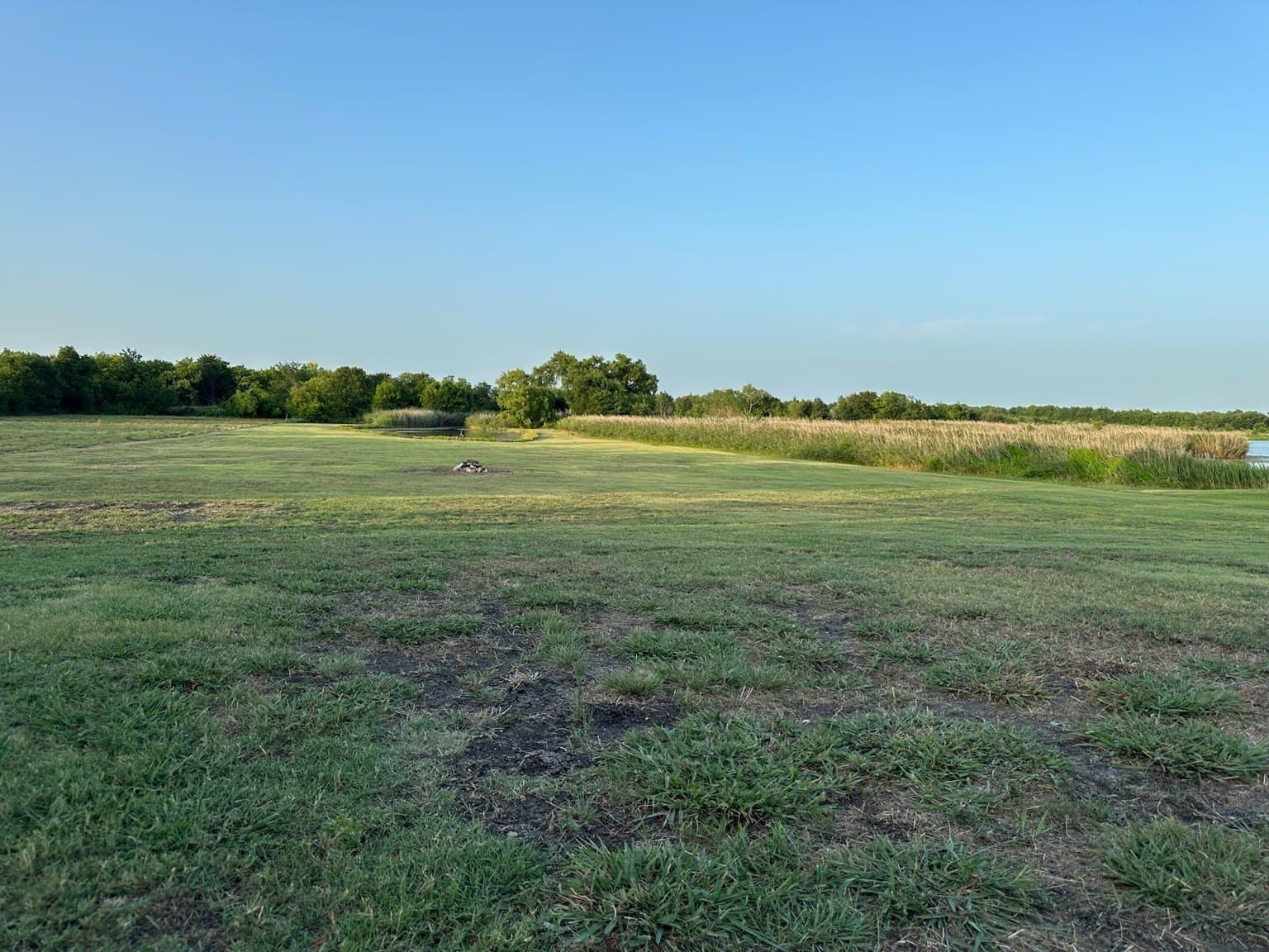 2.5 acres in Rockwall County gallery image 3