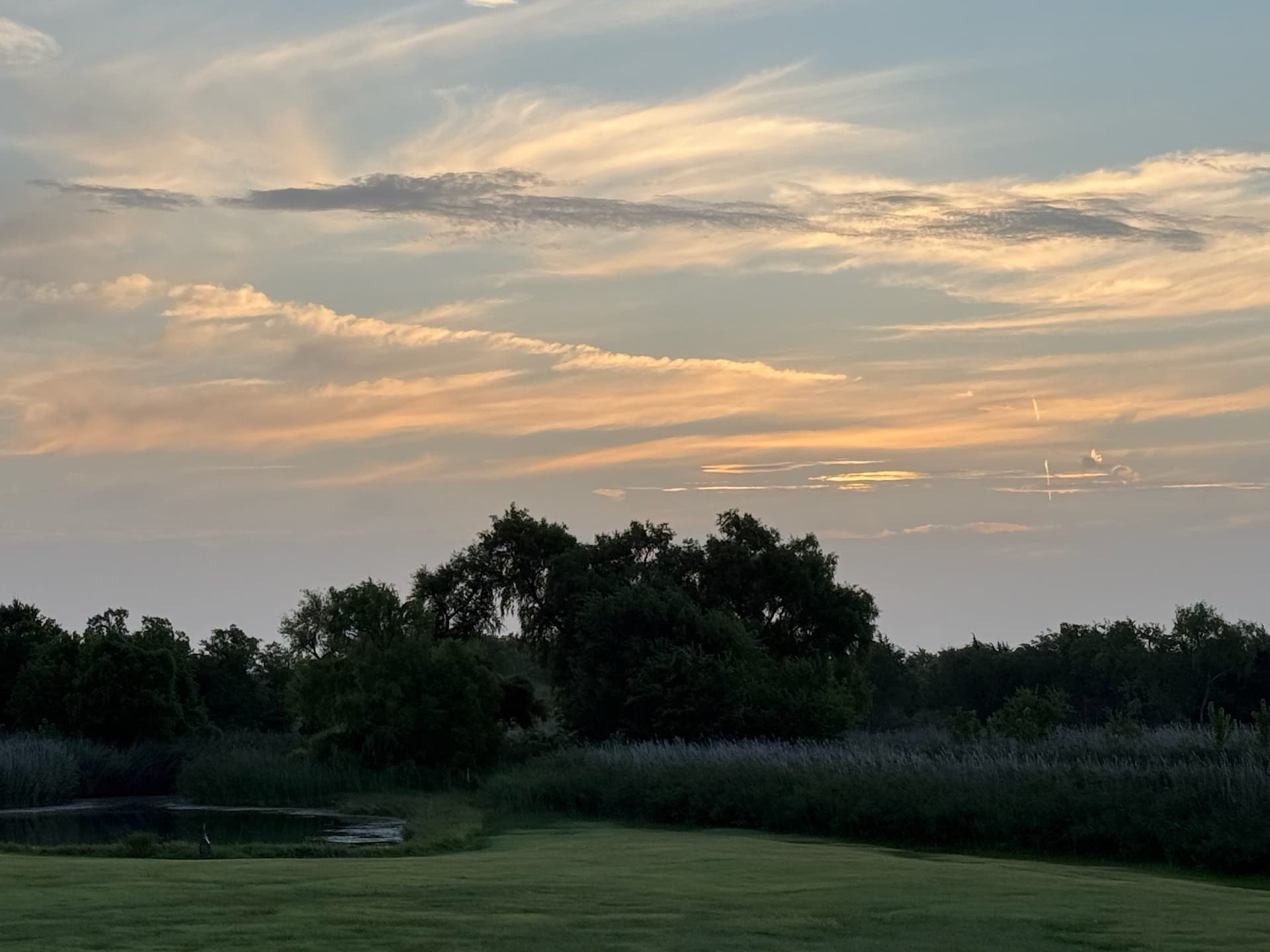 2.5 acres in Rockwall County gallery image 4
