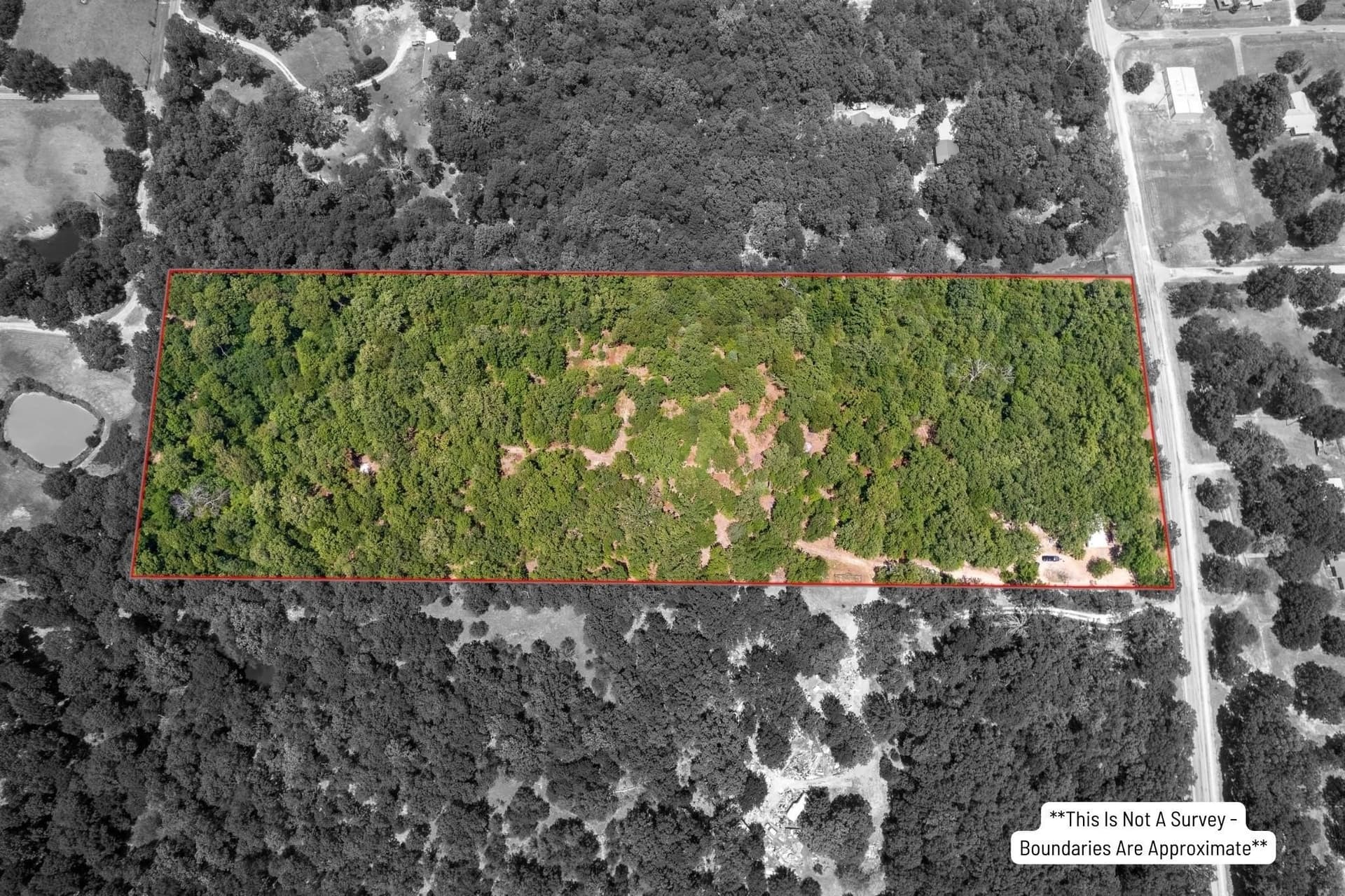 11.59 acres in Lamar County gallery image 2