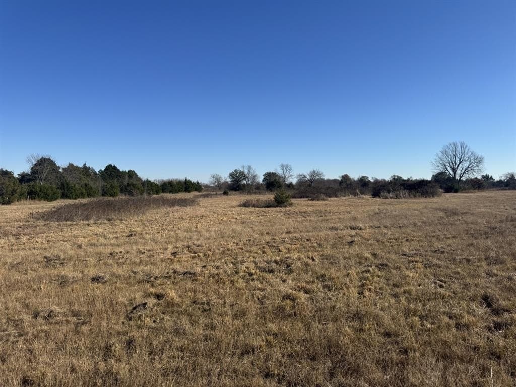 10.25 acres in Lamar County gallery image 4