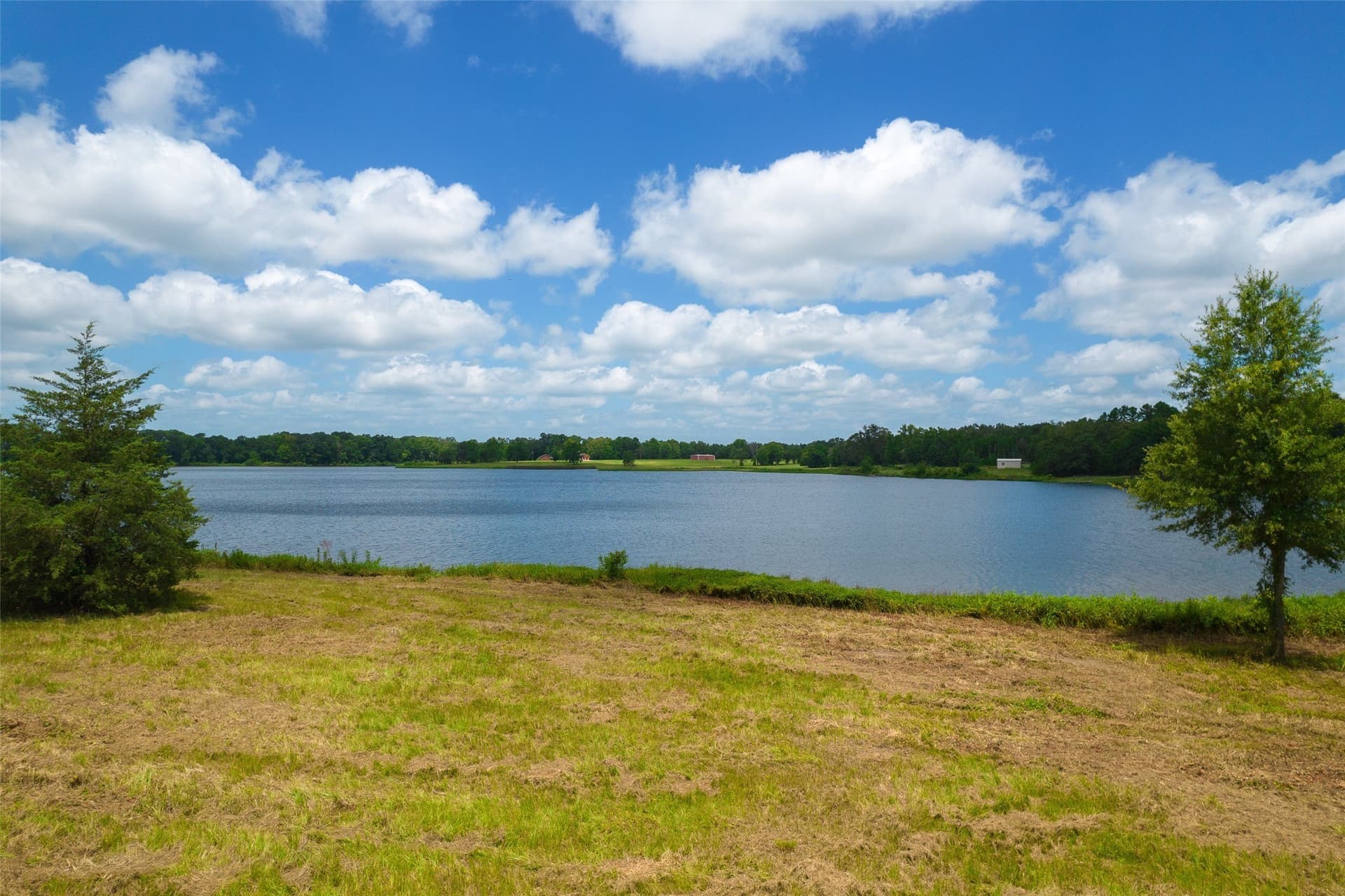 1 acres in Titus County - photo 9