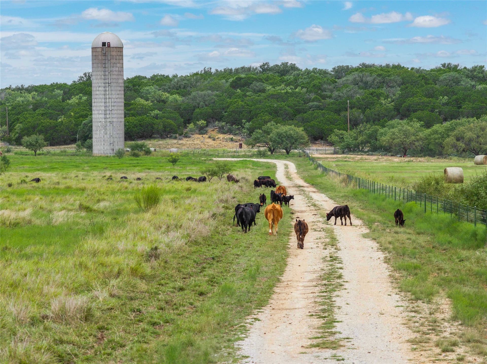 47 acres in Coleman County - photo 36