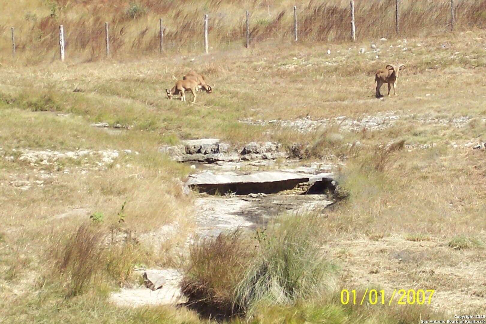 5.01 acres in Comal County - photo 19