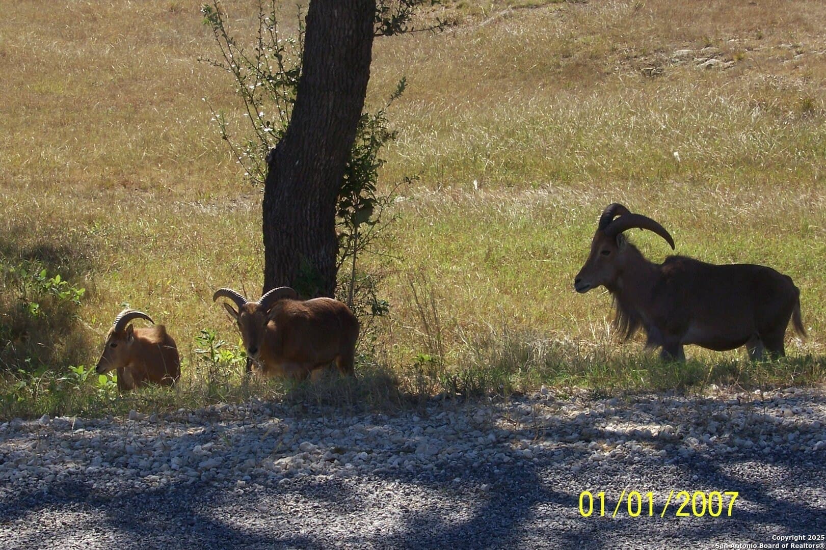 5.01 acres in Comal County - photo 18