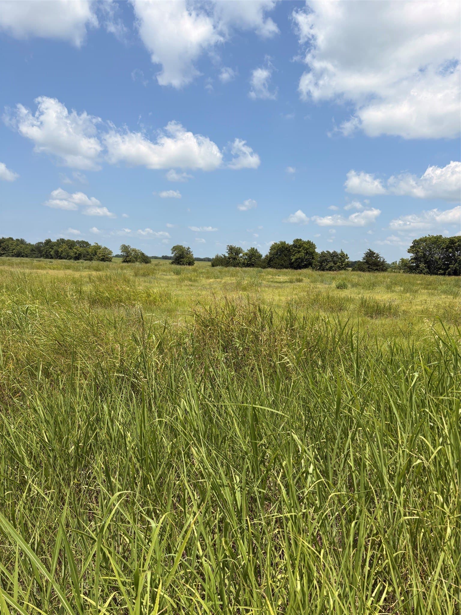 20 acres in Fannin County - photo 7