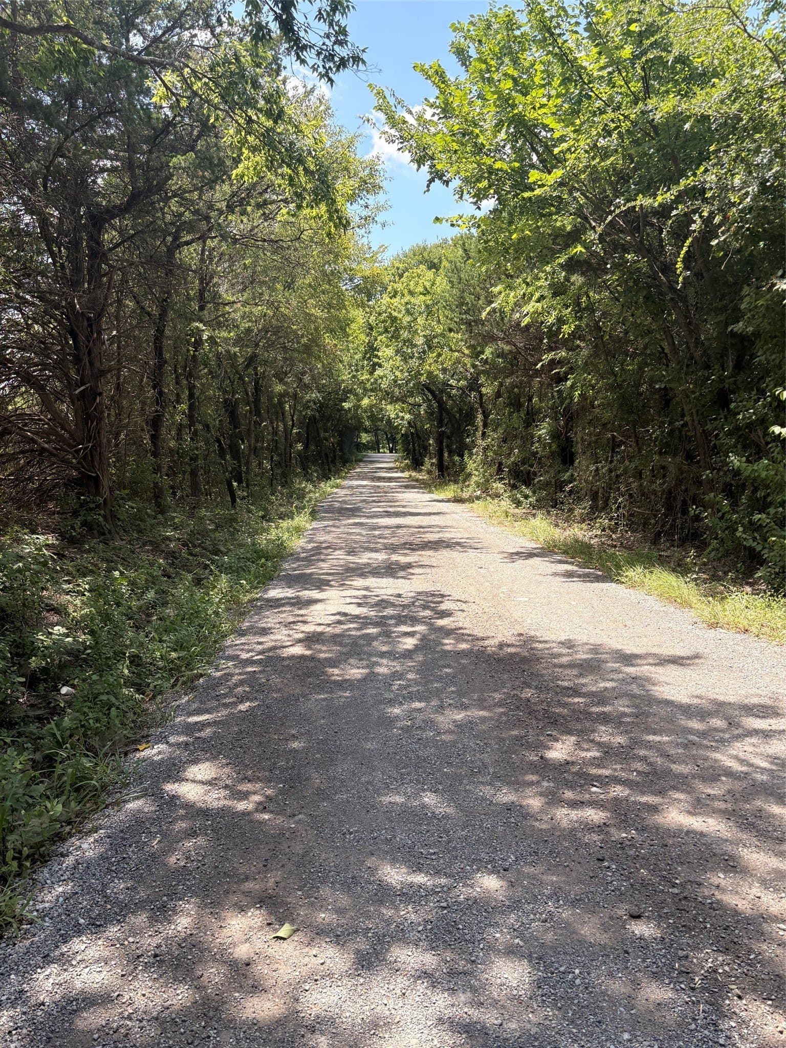 20 acres in Fannin County gallery image 2