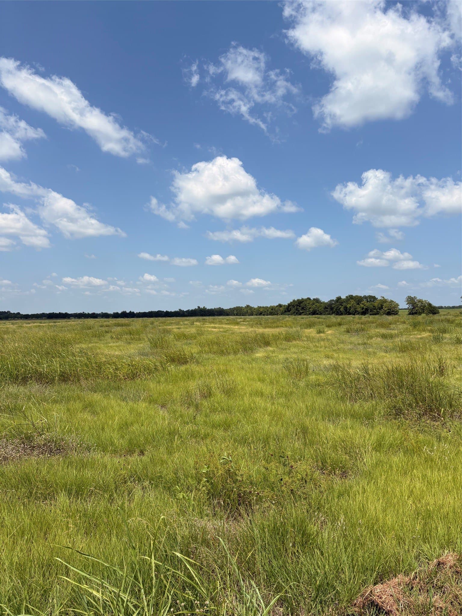 20 acres in Fannin County featured view