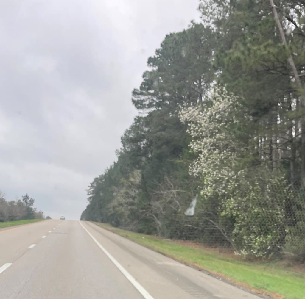 3 acres in Texas County gallery image 2