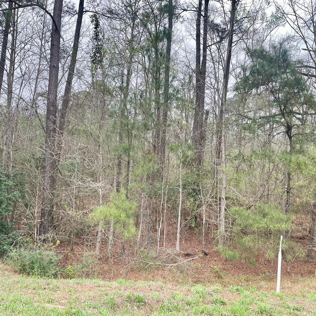 3 acres in Texas County - photo 6