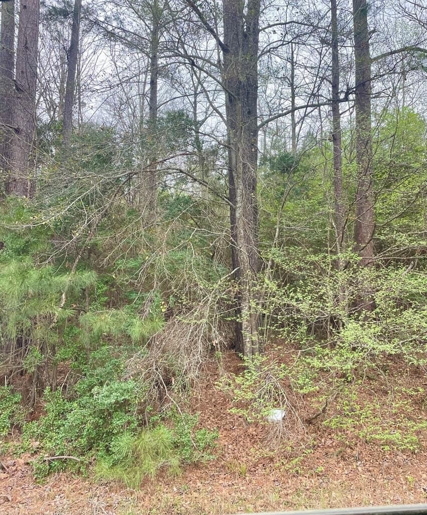 3 acres in Texas County