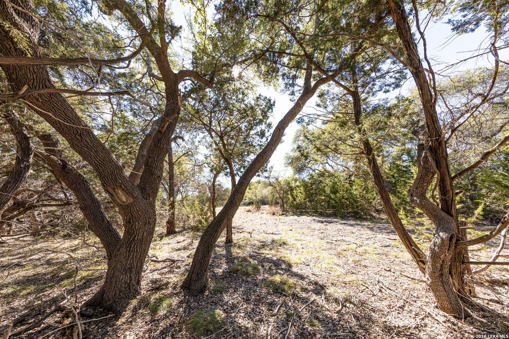 3.41 acres in Comal County featured view