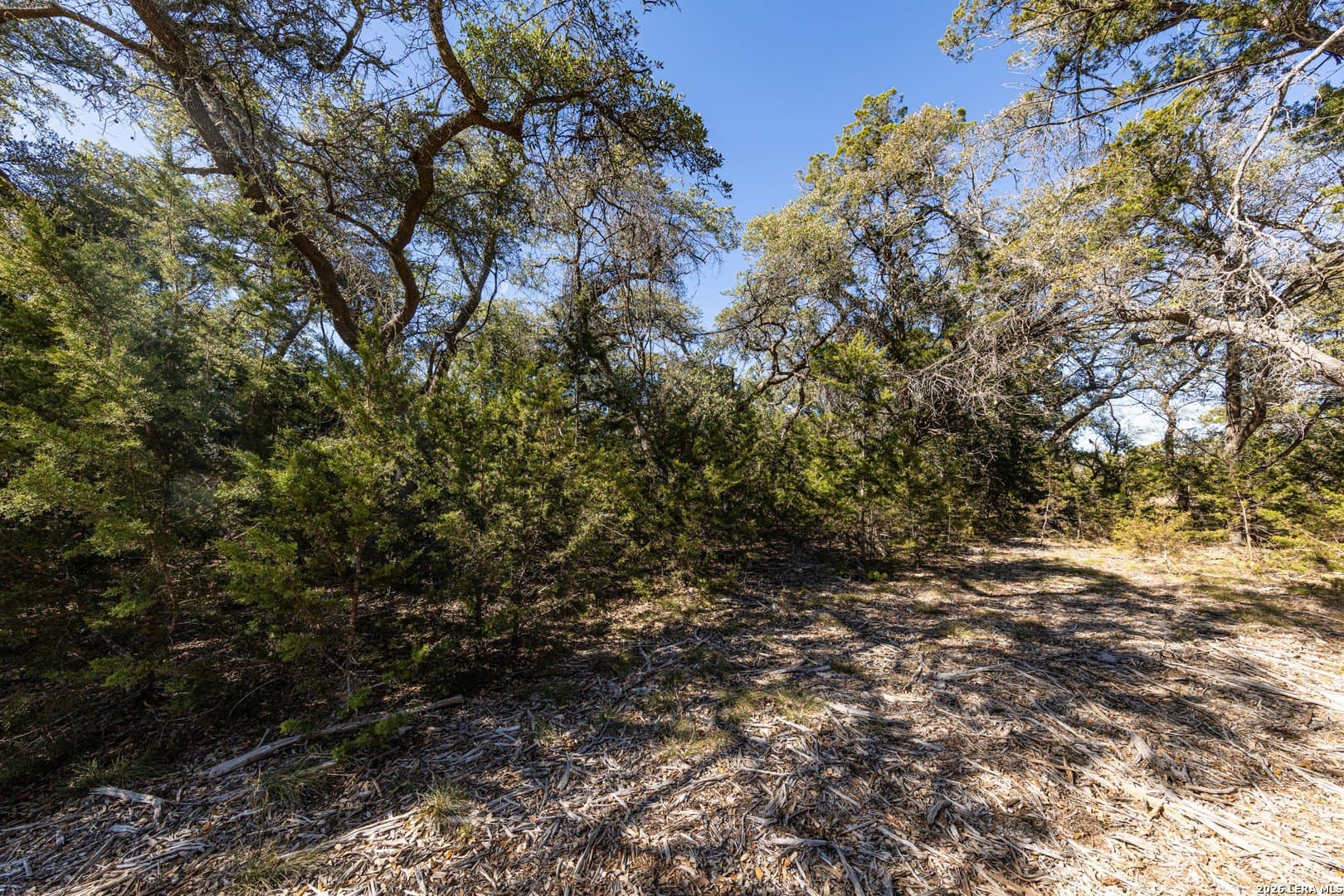 3.41 acres in Comal County - photo 7