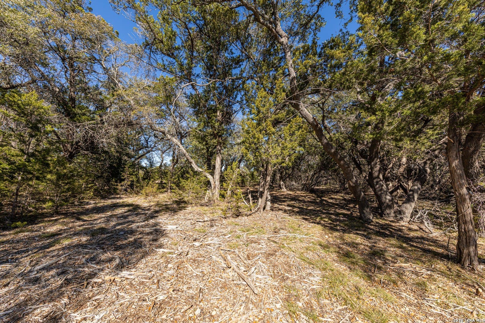 3.41 acres in Comal County - photo 10