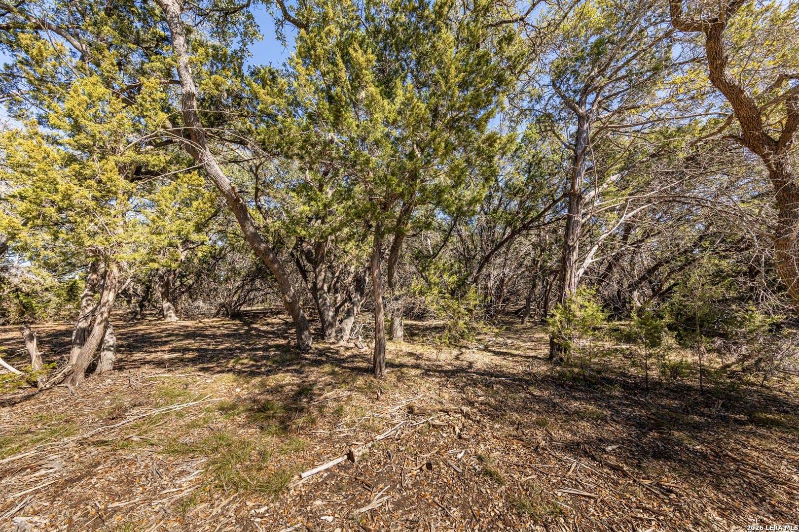 3.41 acres in Comal County gallery image 4