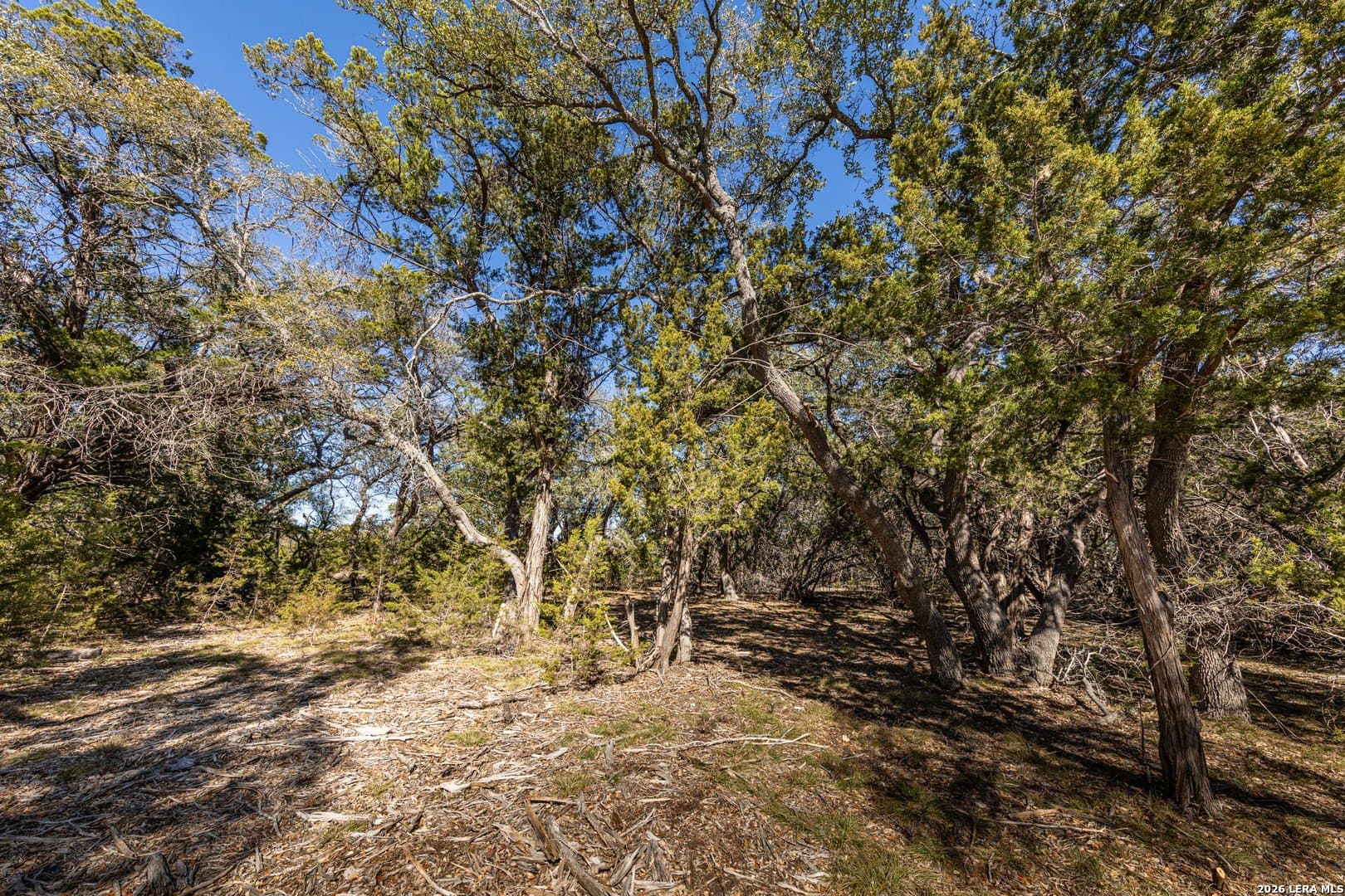 3.41 acres in Comal County gallery image 3