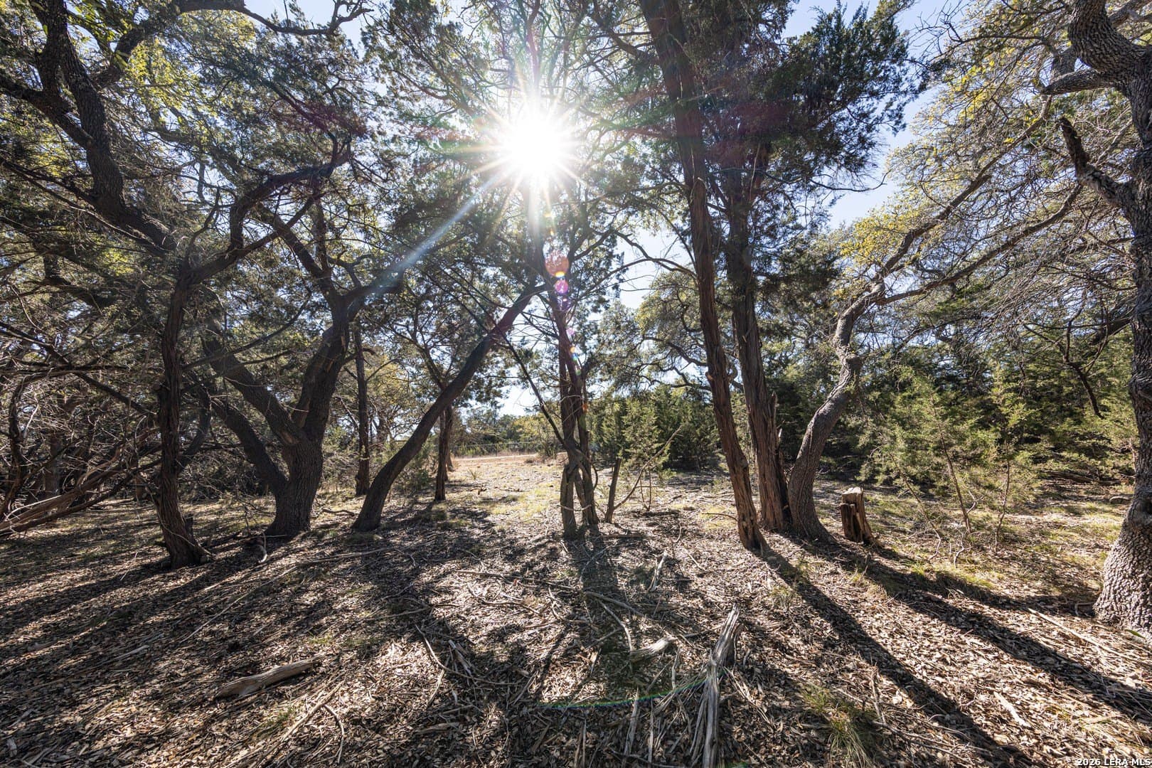 3.41 acres in Comal County gallery image 2