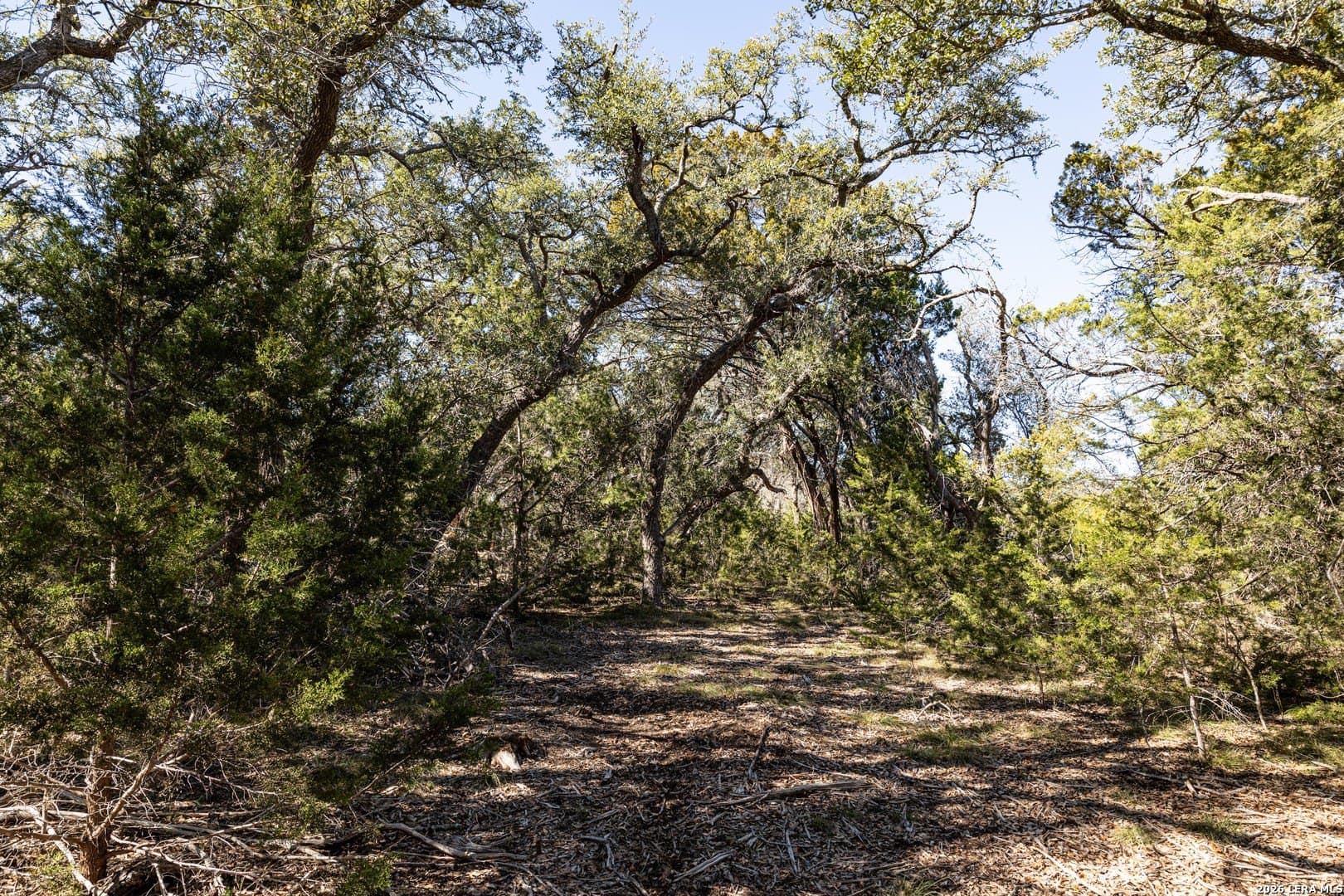 3.41 acres in Comal County - photo 9