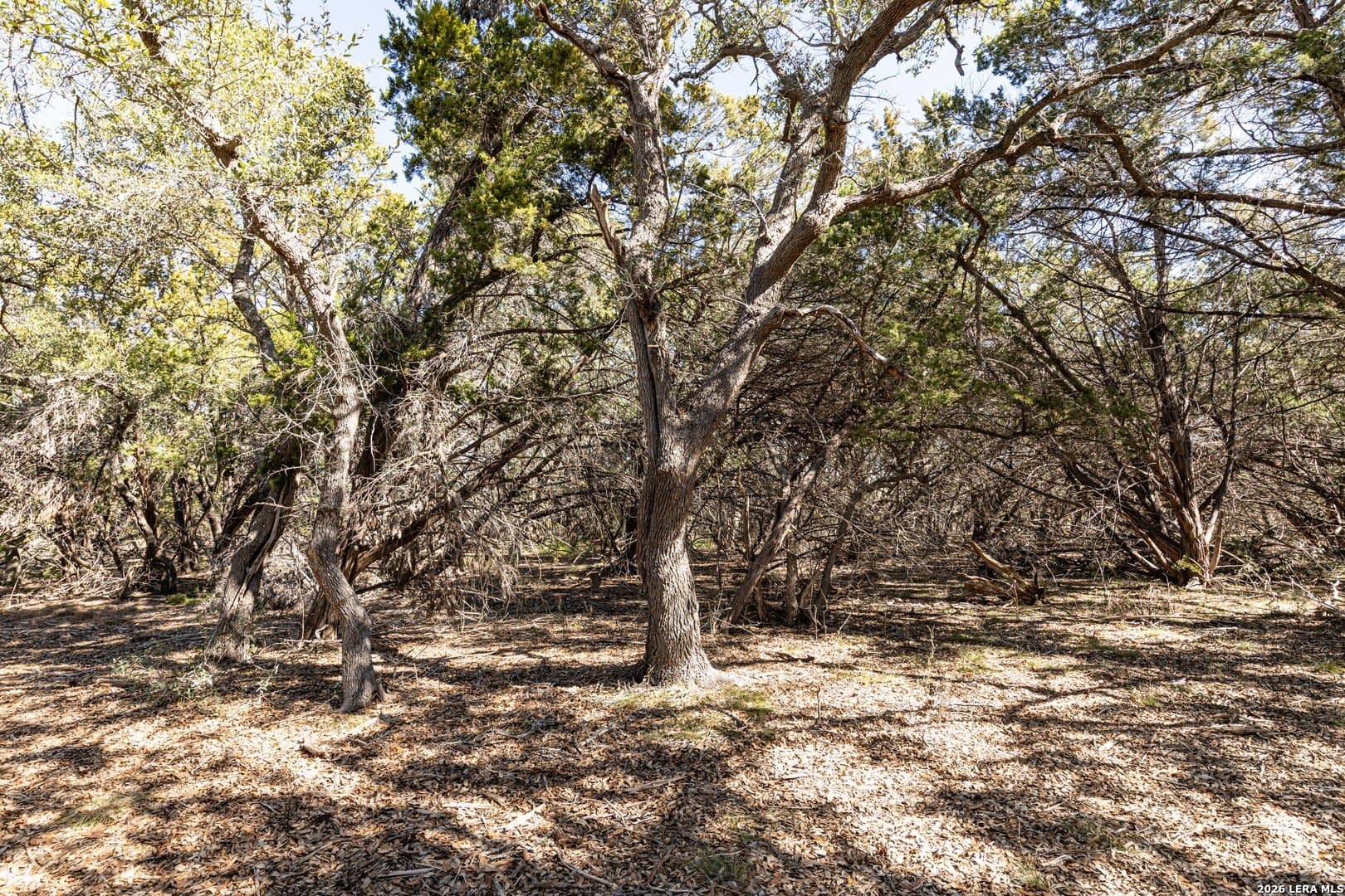 3.41 acres in Comal County - photo 8