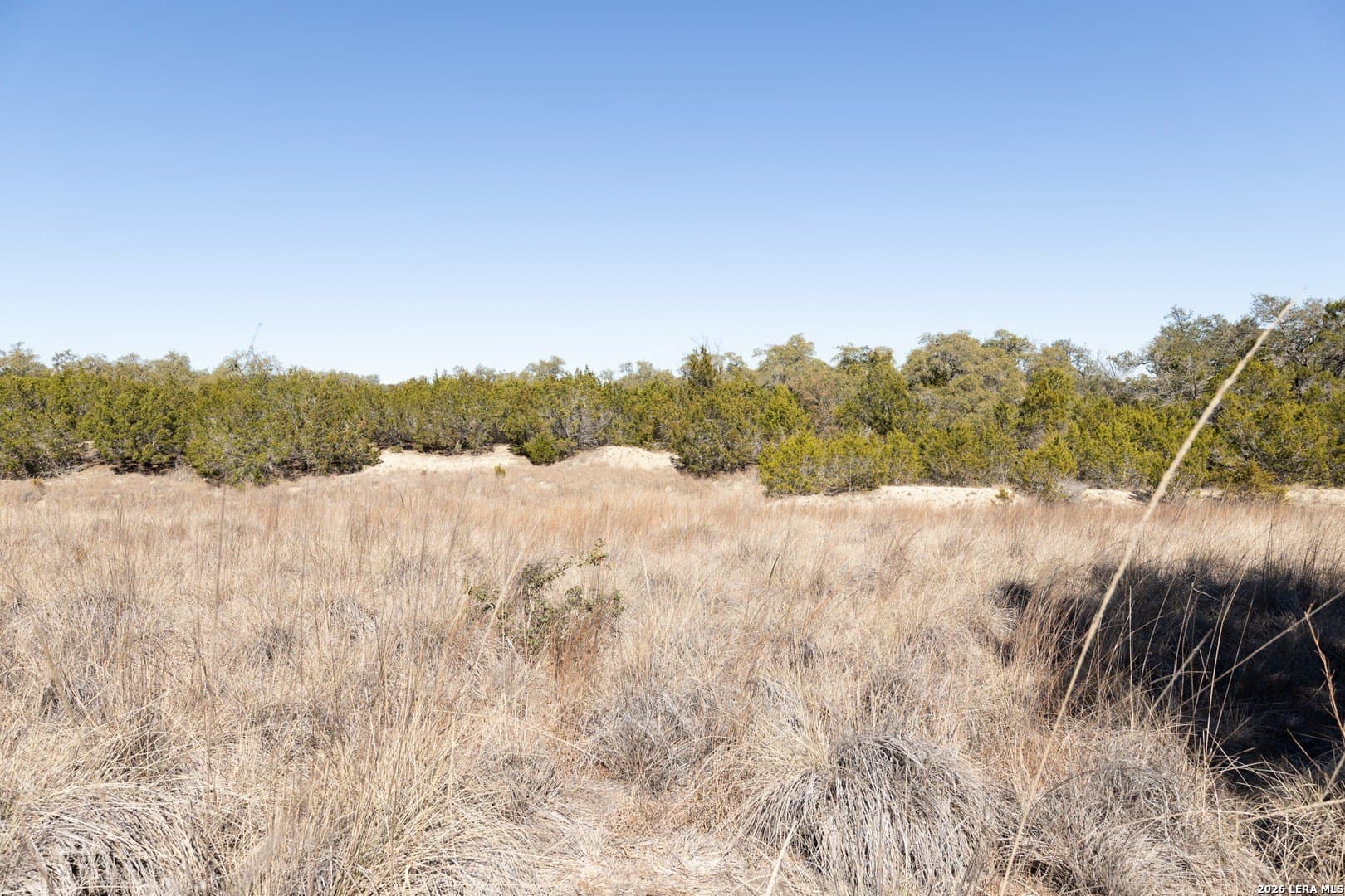 3.41 acres in Comal County - photo 6