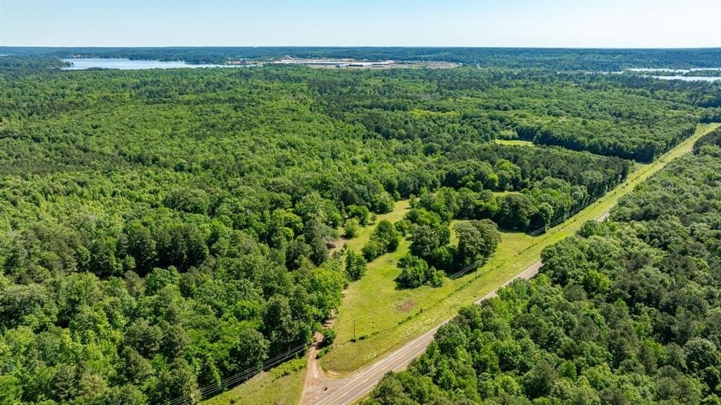 202.83 acres in Upshur County gallery image 3