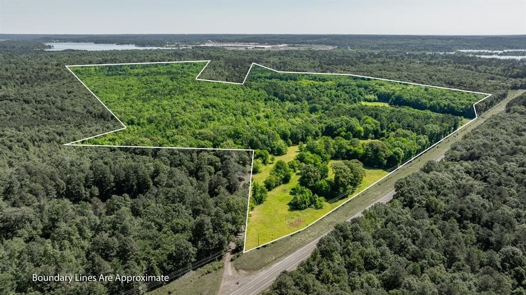 202.83 acres in Upshur County gallery image 2