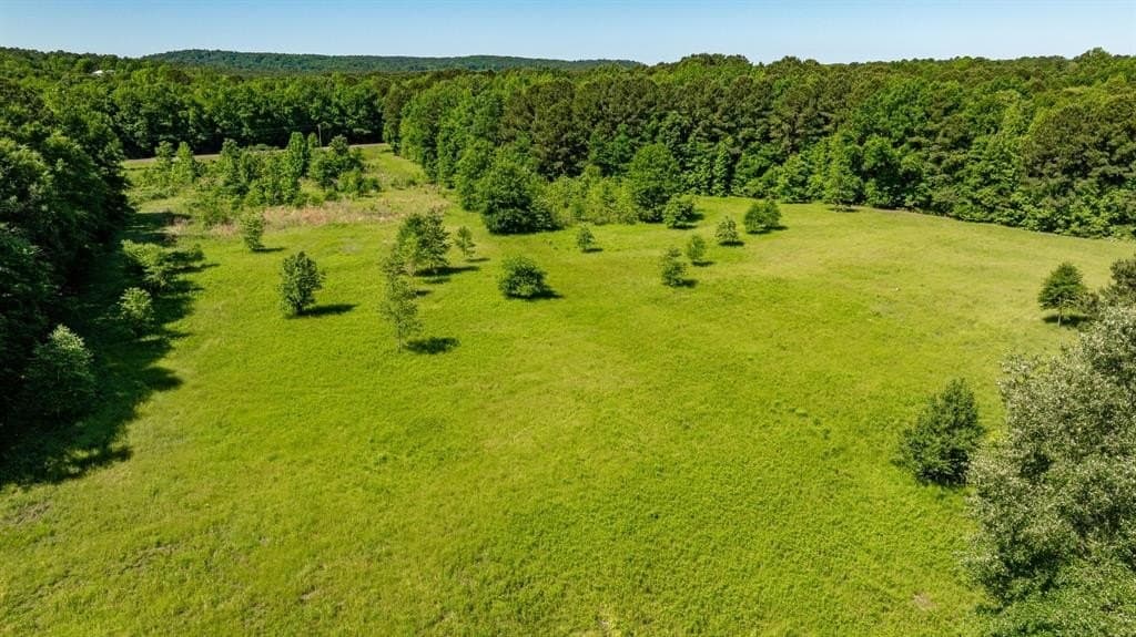 202.83 acres in Upshur County featured view