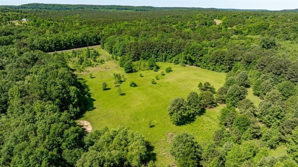 202.83 acres in Upshur County