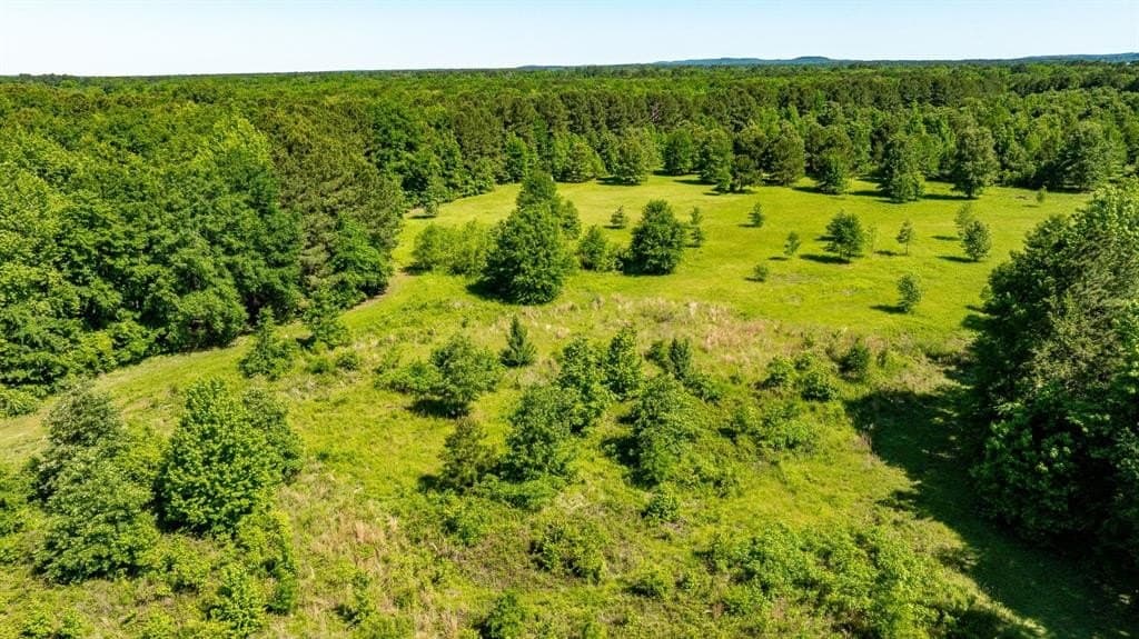 202.83 acres in Upshur County gallery image 4