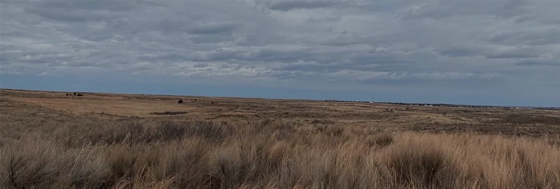 162.75 acres in Wheeler County featured view