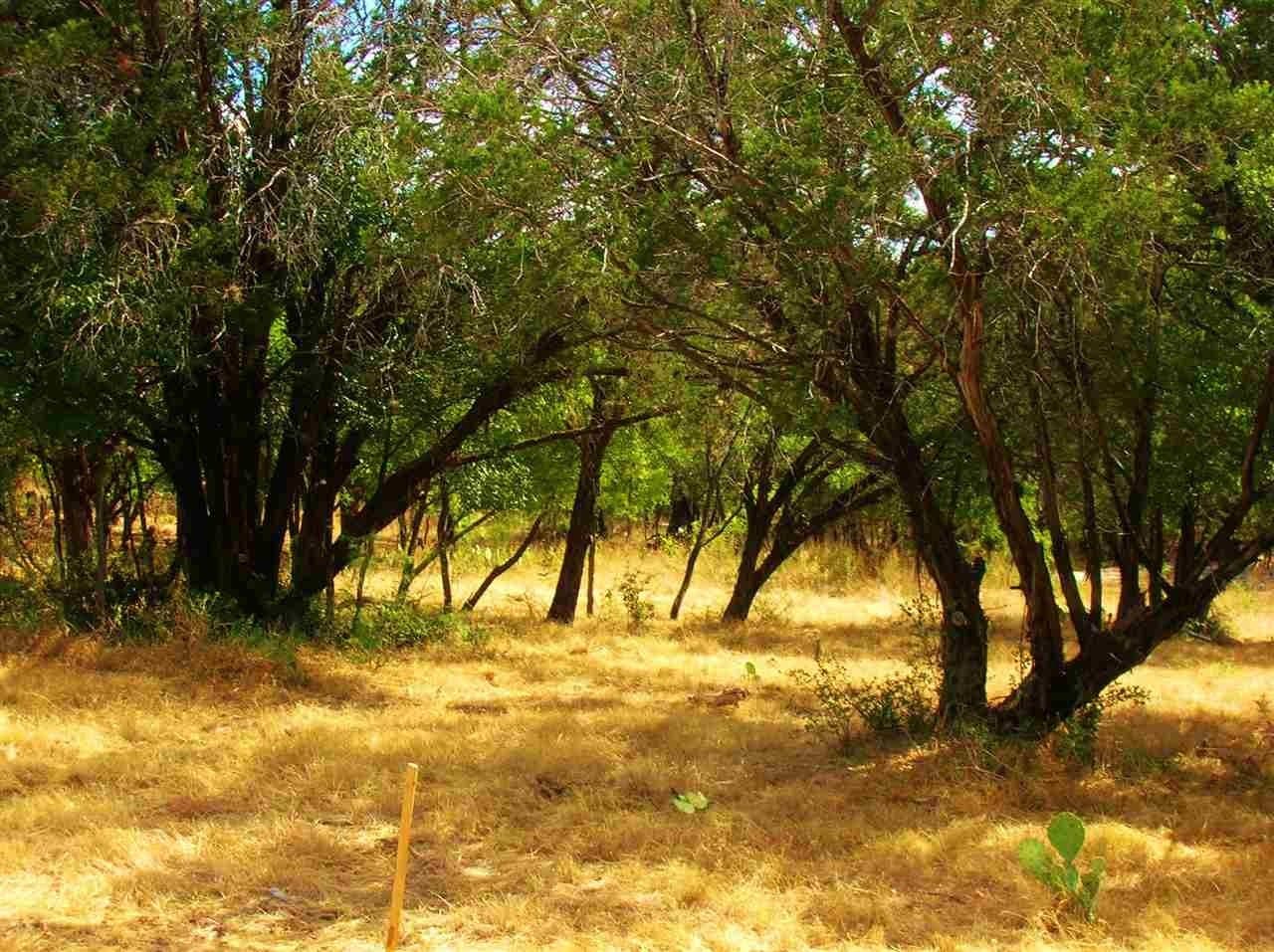 0.92 acres in Burnet County gallery image 2