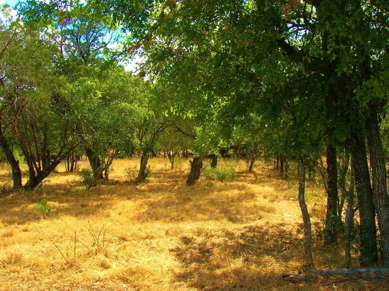 0.92 acres in Burnet County gallery image 3