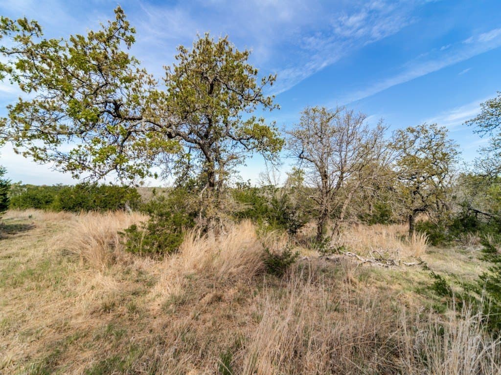 22.01 acres in Gillespie County - photo 47