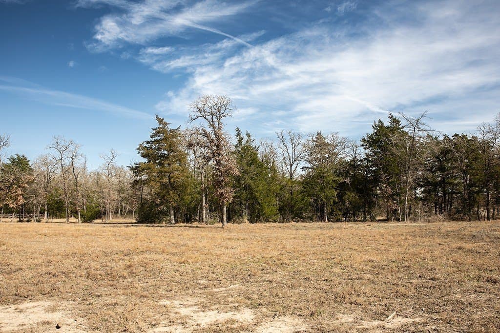 2.5 acres in Washington County gallery image 3