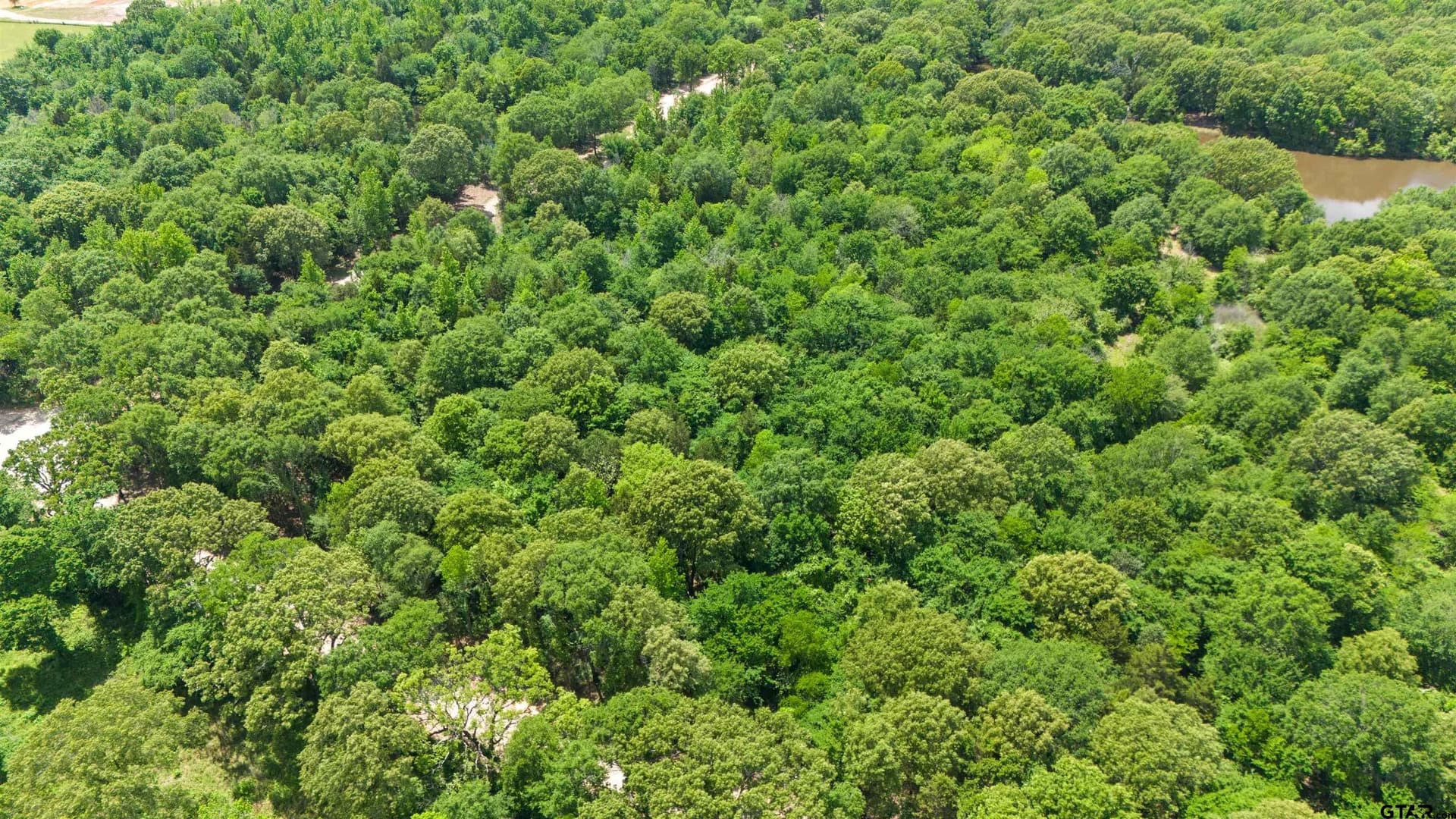 10.01 acres in Van Zandt County - photo 10