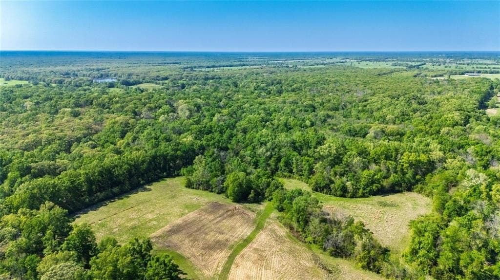156.54 acres in Hopkins County