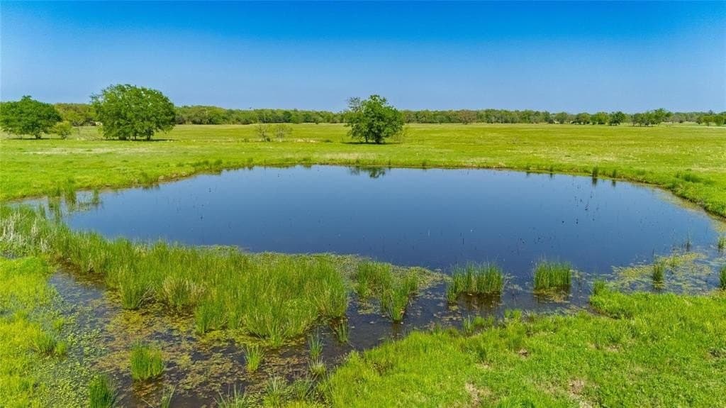 156.54 acres in Hopkins County gallery image 3