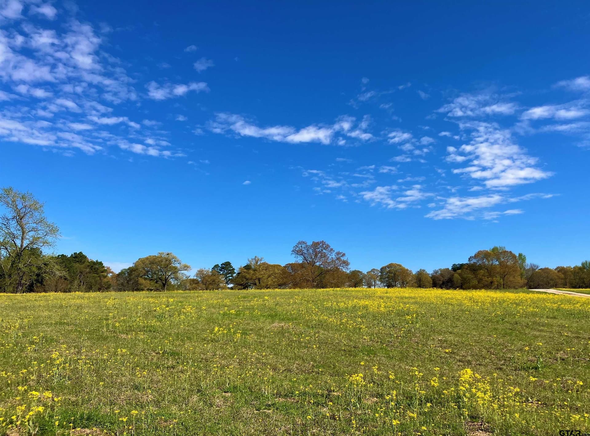2 acres in Upshur County - photo 7
