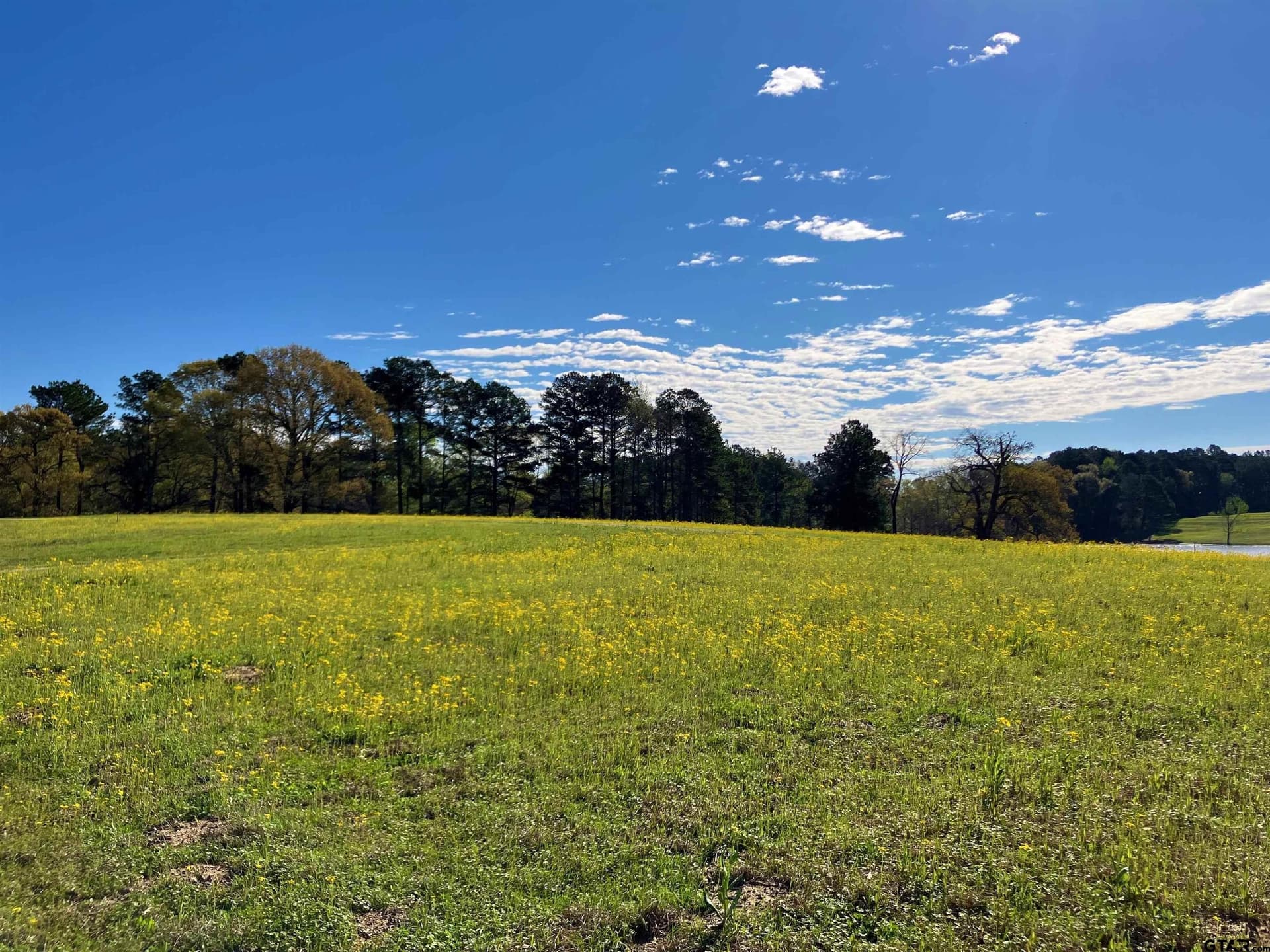 2 acres in Upshur County - photo 9