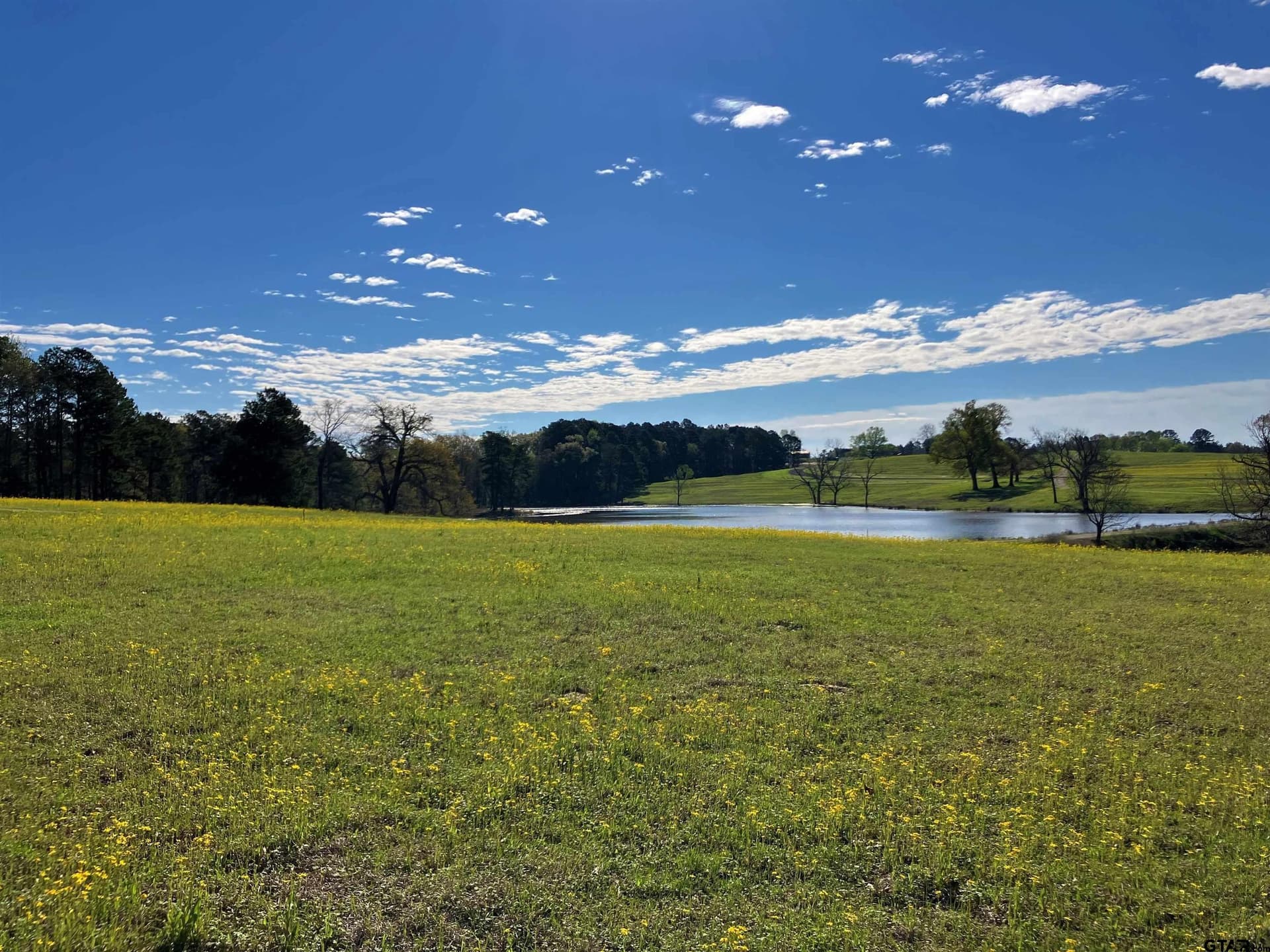 2 acres in Upshur County - photo 8