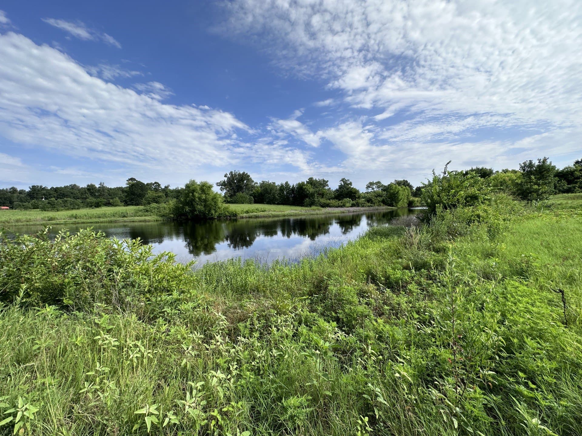 19.85 acres in Titus County - photo 20