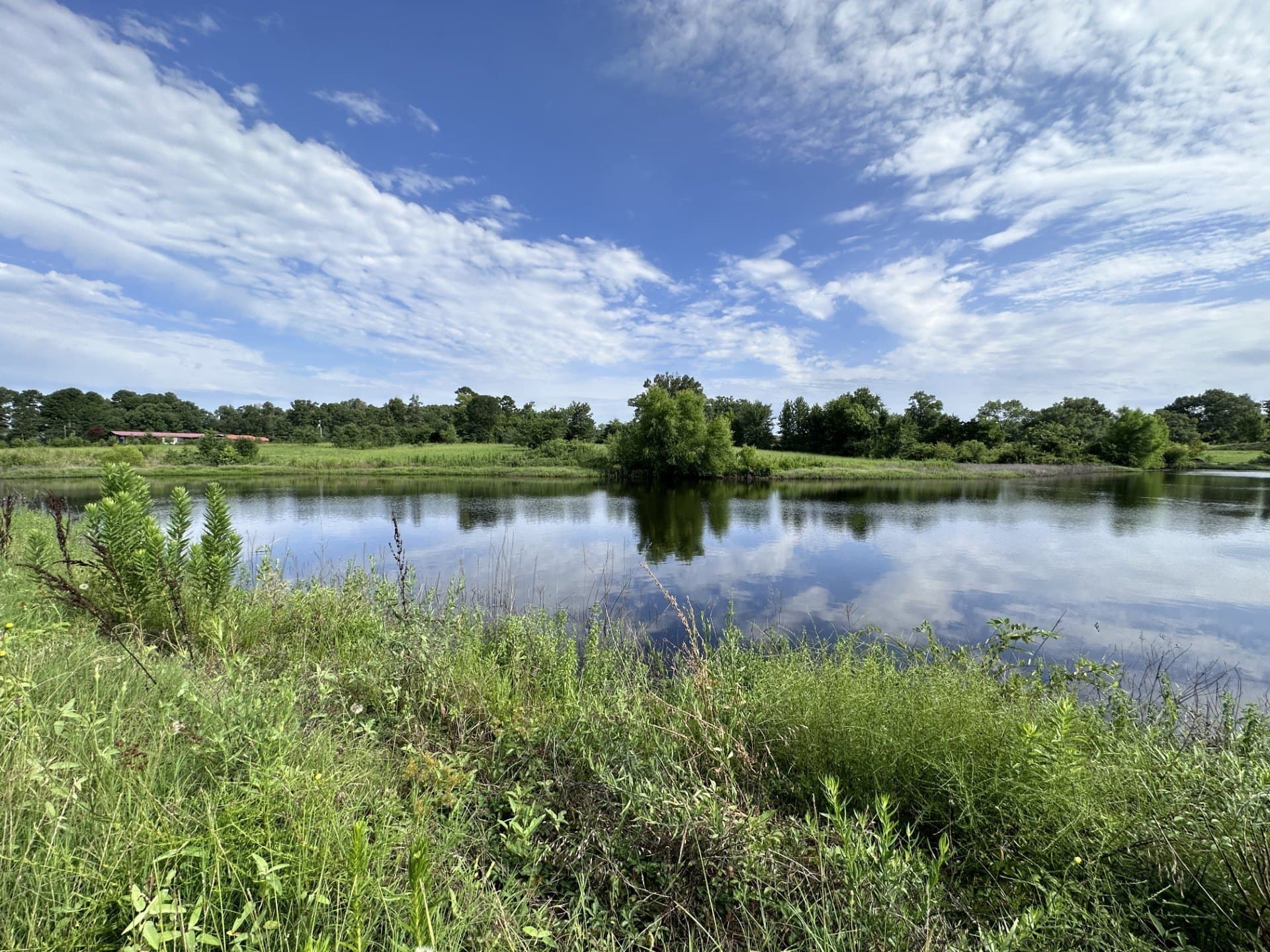 19.85 acres in Titus County - photo 16
